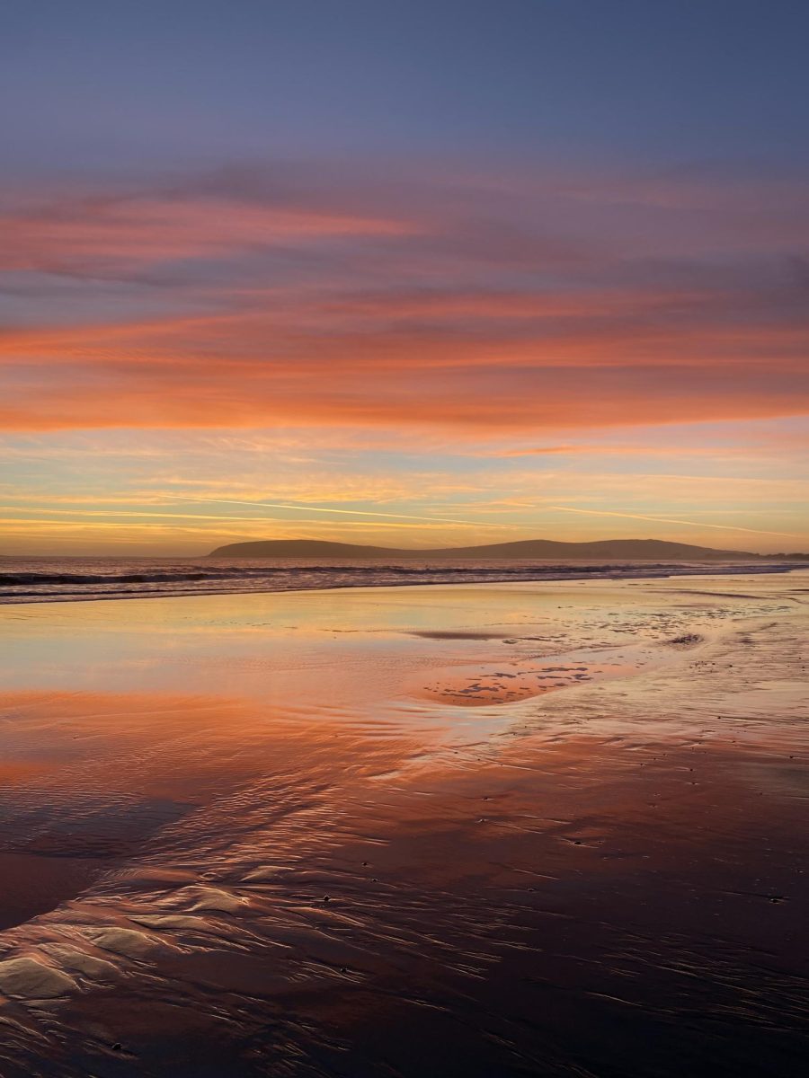 During low tide, the sunset reflects off the water and wet sand at Bodega Bay, CA.
