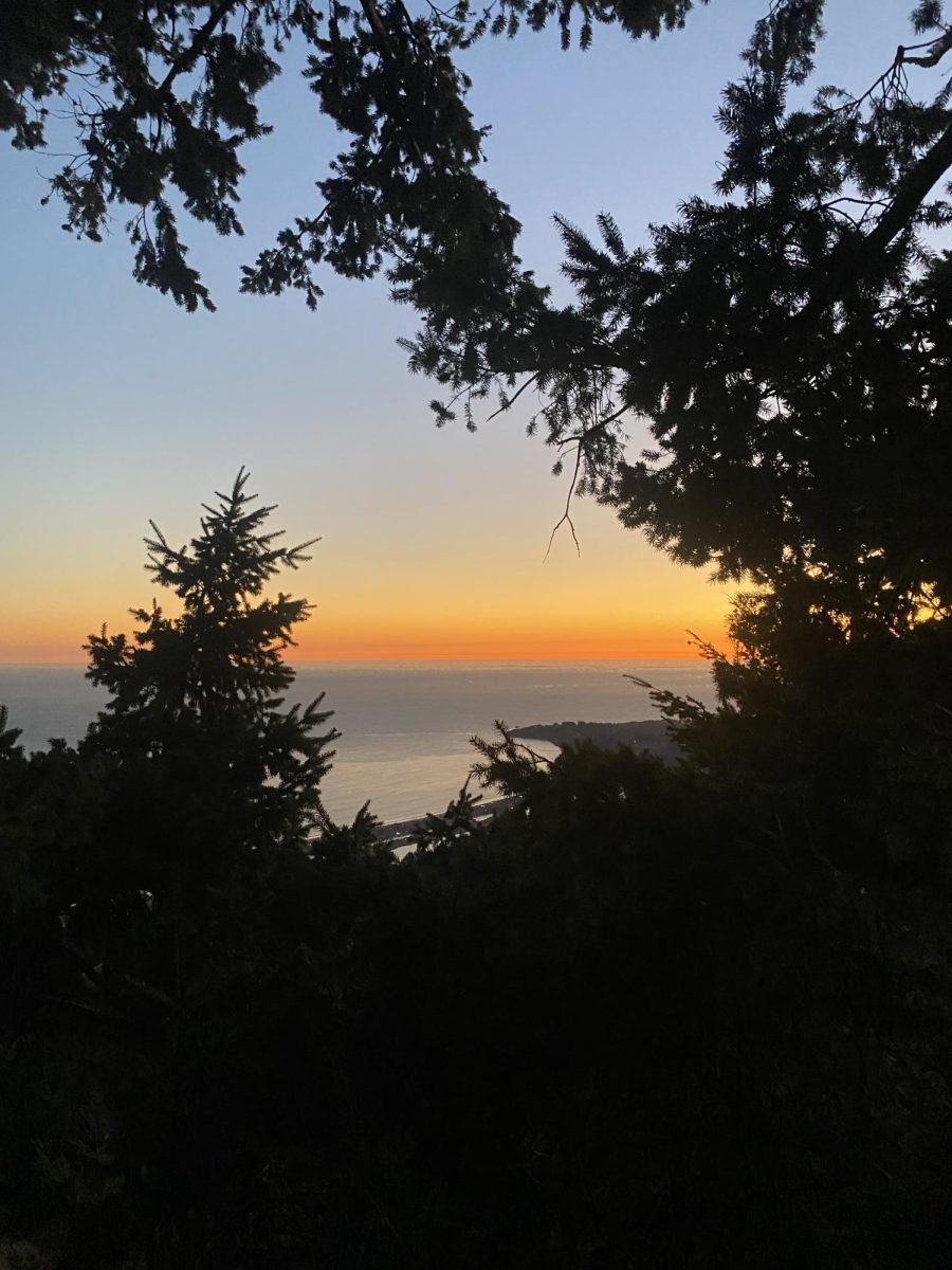 Sunset peeking out through the trees at Bolinas Ridge, CA. 
