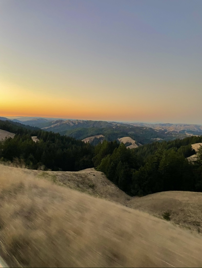 Taken out the window of a moving car at Bolinas Ridge, CA.
