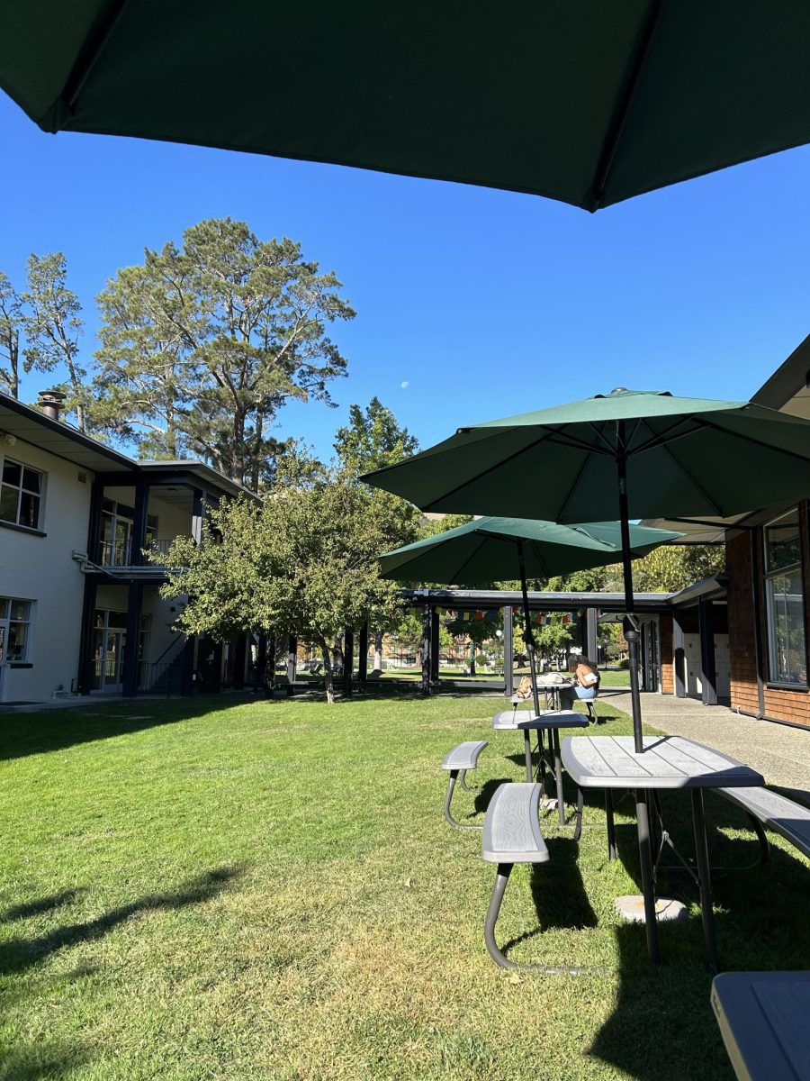 Sunny day on San Domenico campus